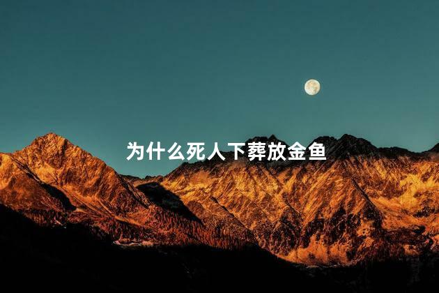 为什么死人下葬放金鱼