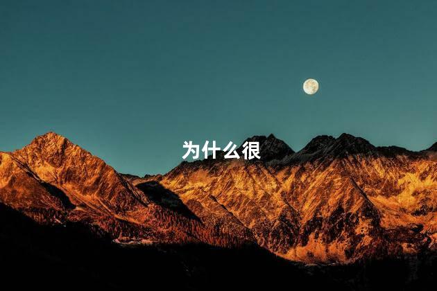 为什么很