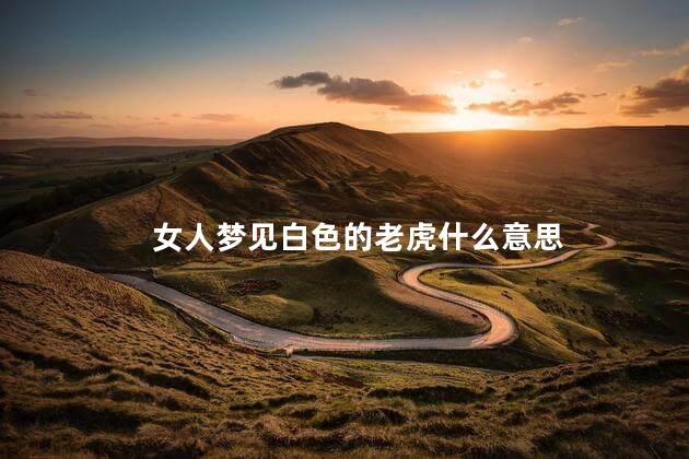 女人梦见白色的老虎什么意思