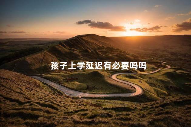 孩子上学延迟有必要吗吗