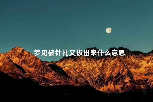 梦见被针扎又拔出来什么意思