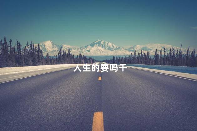 人生的要吗干