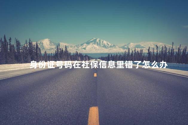 身份证号码在社保信息里错了怎么办