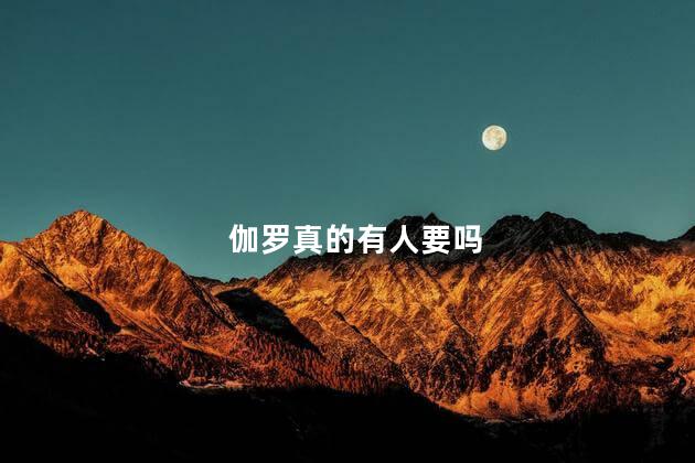伽罗真的有人要吗