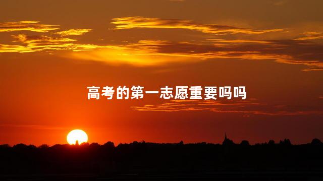 高考的第一志愿重要吗吗
