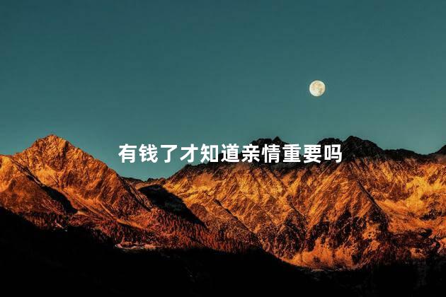 有钱了才知道亲情重要吗