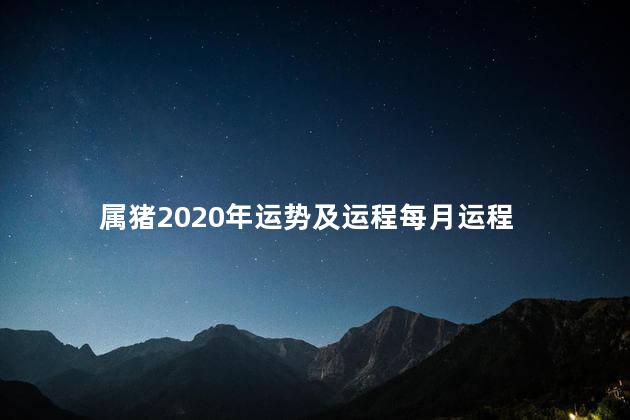 属猪2020年运势及运程每月运程
