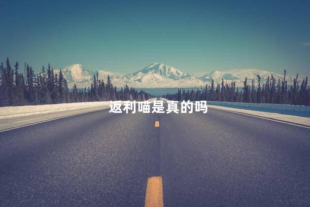 返利喵是真的吗
