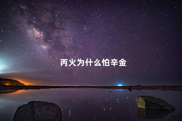 丙火为什么怕辛金