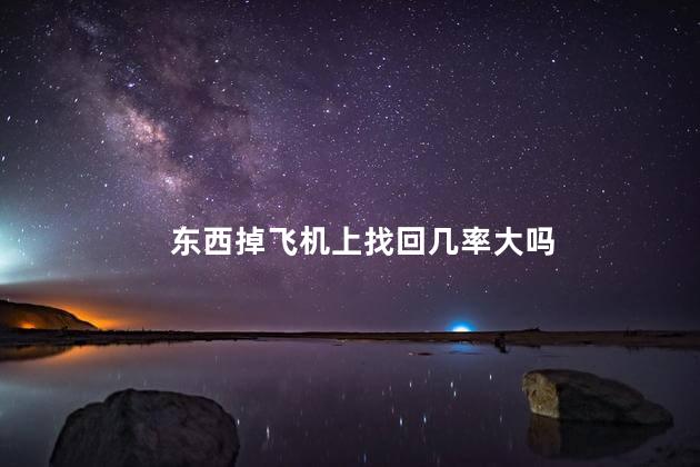 东西掉飞机上找回几率大吗
