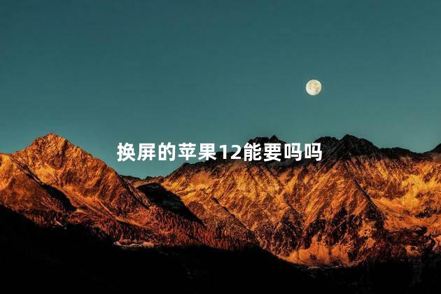 换屏的苹果12能要吗吗