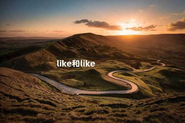 like和like