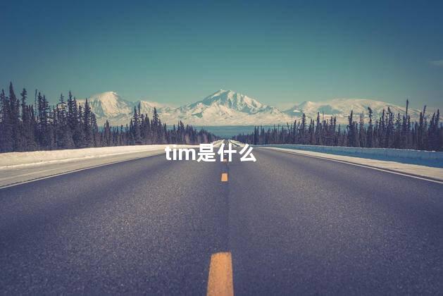 tim是什么