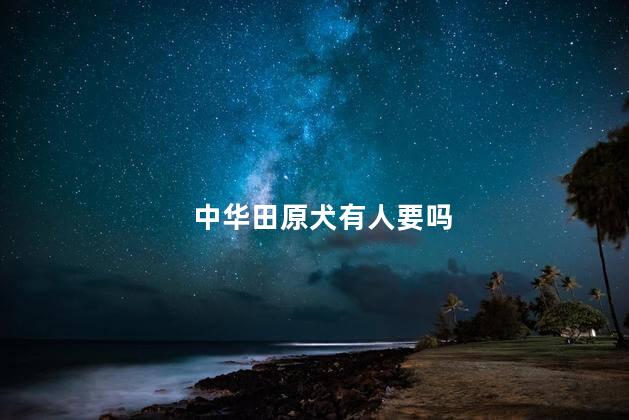 中华田原犬有人要吗