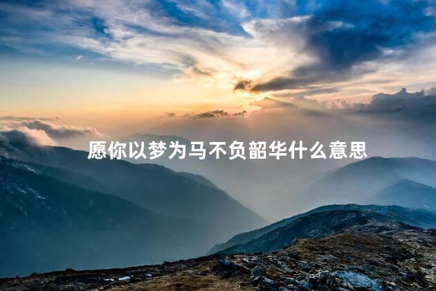 愿你以梦为马不负韶华什么意思