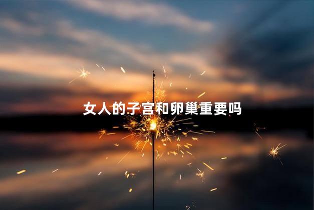 女人的子宫和卵巢重要吗