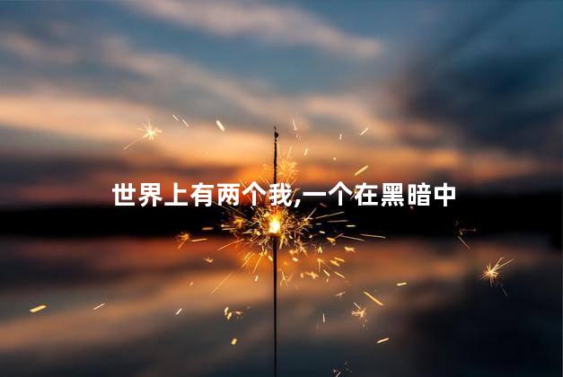 世界上有两个我,一个在黑暗中
