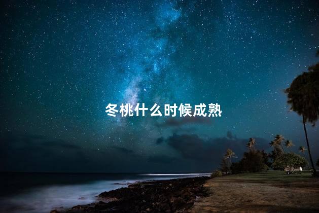 冬桃什么时候成熟