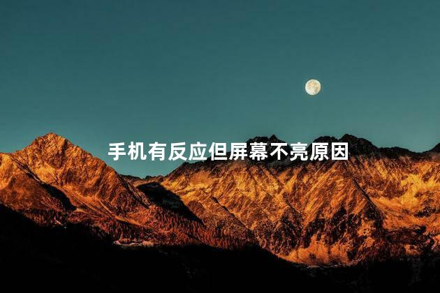 手机有反应但屏幕不亮原因