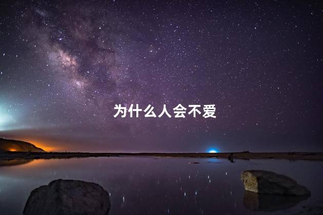 为什么人会不爱
