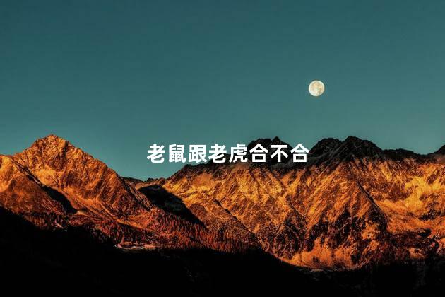 老鼠跟老虎合不合