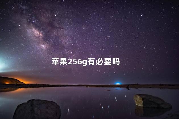 苹果256g有必要吗
