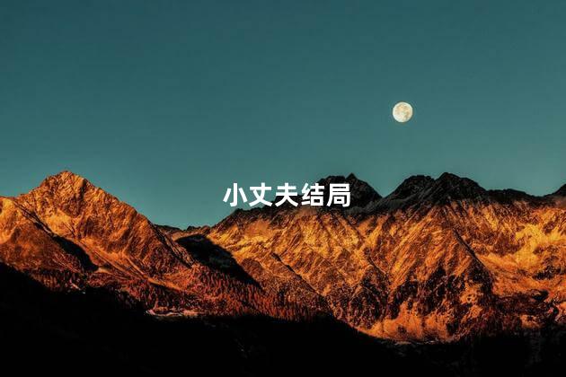 小丈夫结局