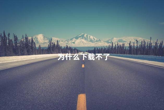 为什么下载不了