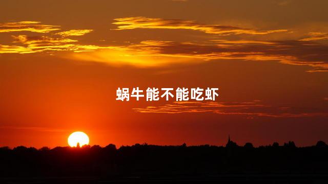 蜗牛能不能吃虾