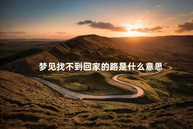梦见找不到回家的路是什么意思