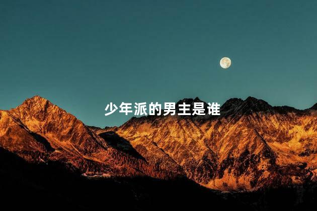 少年派的男主是谁