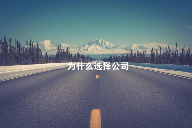 为什么选择公司