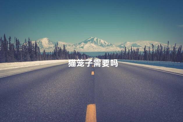 猫笼子需要吗