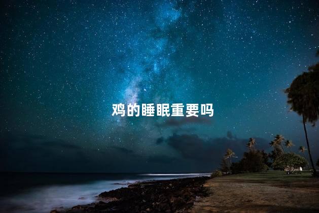 鸡的睡眠重要吗