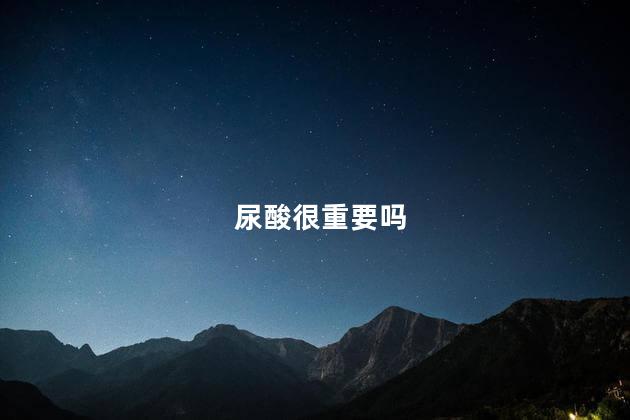 尿酸很重要吗