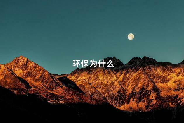 环保为什么
