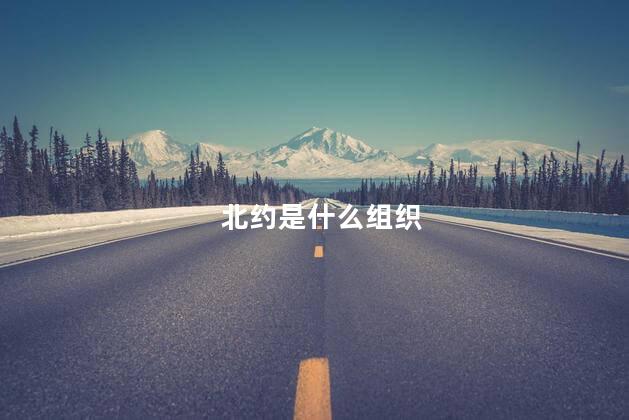 北约是什么组织