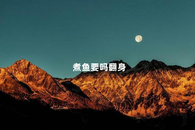 煮鱼要吗翻身