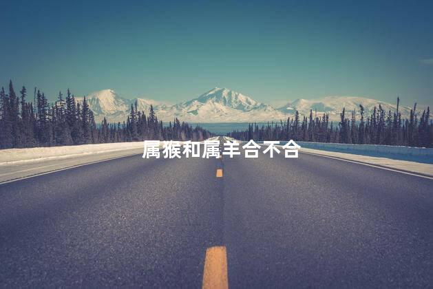 属猴和属羊合不合