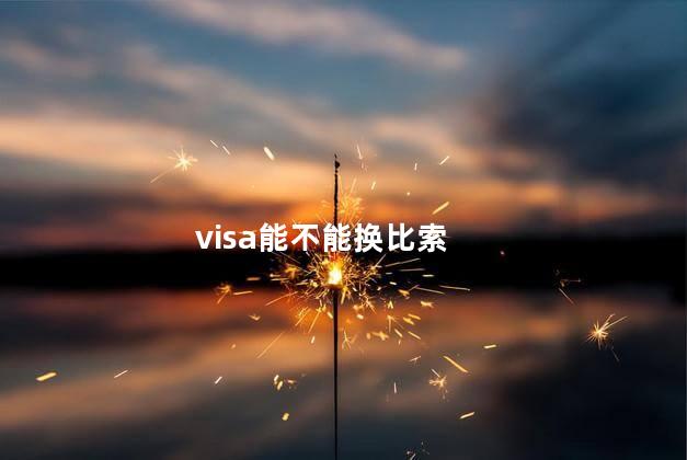 visa能不能换比索