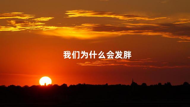 我们为什么会发胖