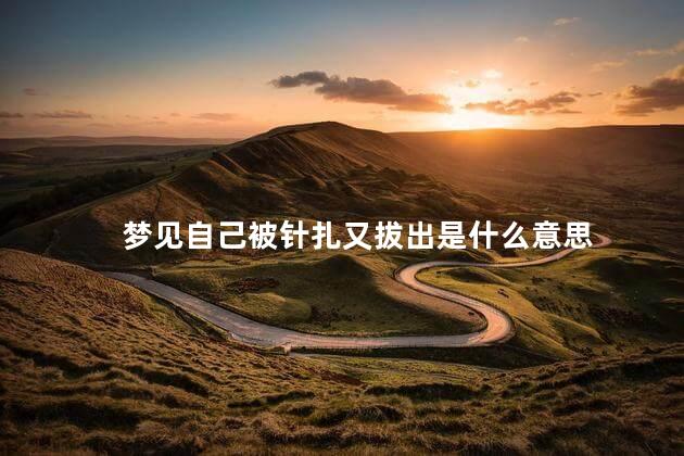 梦见自己被针扎又拔出是什么意思
