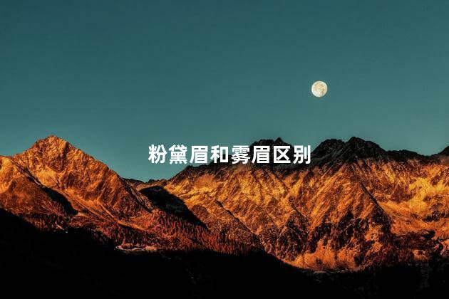 粉黛眉和雾眉区别
