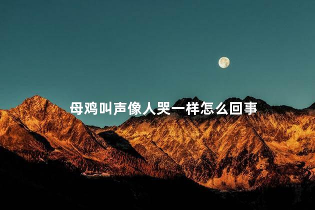 母鸡叫声像人哭一样怎么回事