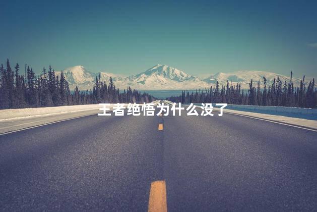 王者绝悟为什么没了