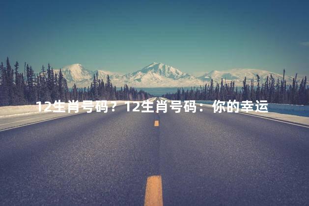 12生肖号码？12生肖号码：你的幸运号码指南