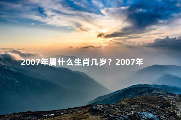 2007年属什么生肖几岁？2007年生肖及年龄-兔年几岁
