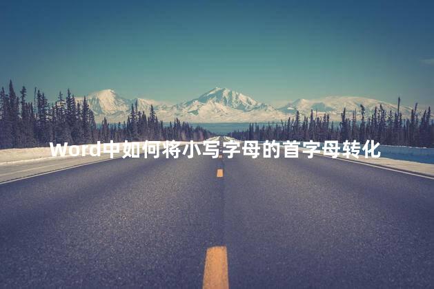Word中如何将小写字母的首字母转化成大写？Word中如何将小写字母首字母转为大写