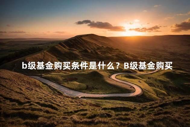 b级基金购买条件是什么？B级基金购买条件须知