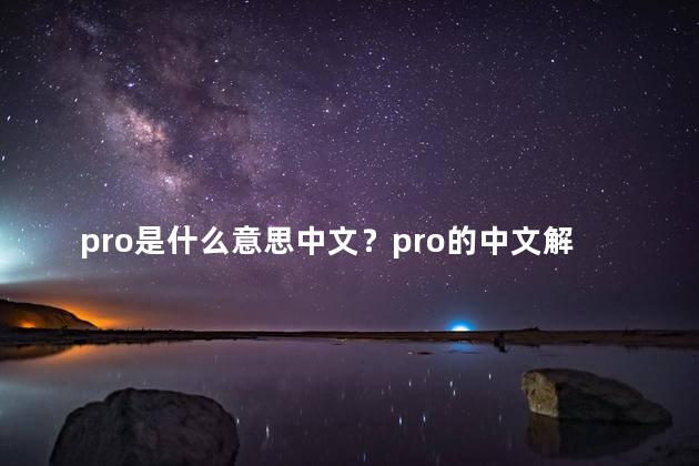 pro是什么意思中文？pro的中文解释是什么